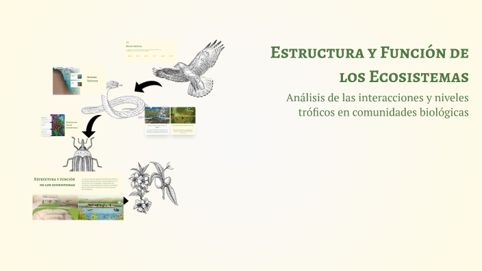 Estructura y Función de los Ecosistemas by Maria de los Angeles Sanchez ...