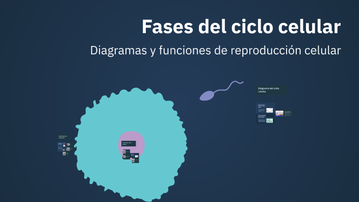 Fases del ciclo celular by Aaron Mavros on Prezi