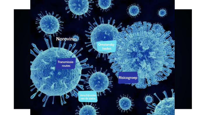 norovirus presentation prezi