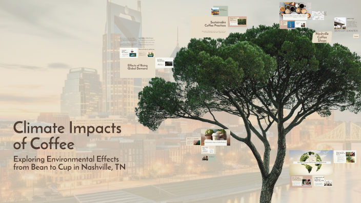 Climate Impacts of Coffee by Jules Ashworth on Prezi