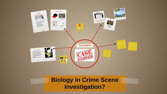 Biology in Crime Scene Investigation? by Ryan Potter