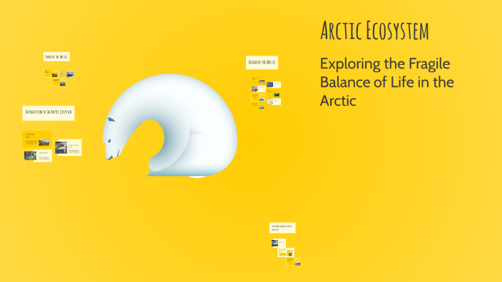 Arctic Ecosystem by KANCHAN MARY SHRESTHA on Prezi