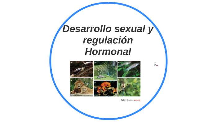 Desarrollo Sexual Y Regulación Hormonal By Marvin Carreño 7451