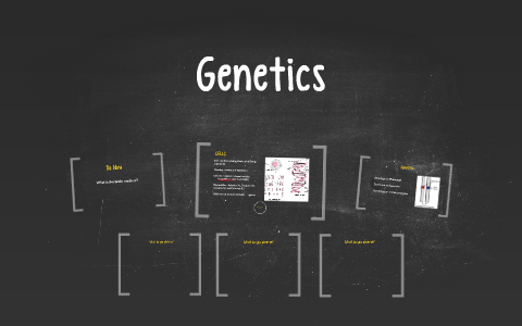 Genetics by Shayna Miller on Prezi