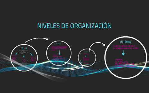 NIVELES DE ORGANIZACION by Ana Laura Ramírez on Prezi