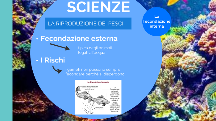 Tesina esame by Rebecca Noli on Prezi