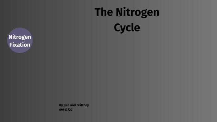 Nitrogen Cycle by BRITTNEY CARVER on Prezi