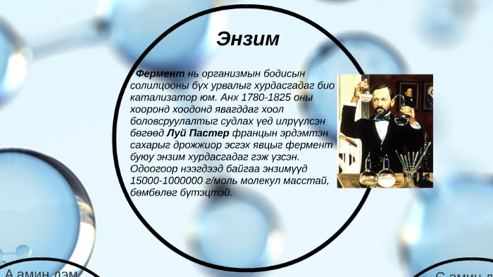 Энзим ( by Туул Б. on Prezi