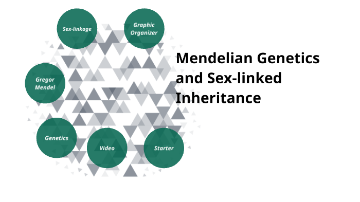 Mendelian Genetics And Sex Linked Inheritance By Austin Sowder On Prezi