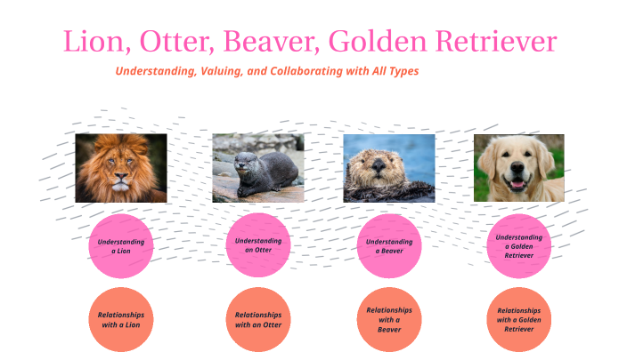 Lion, Otter, Beaver, Golden Retriever by Nicole Hanna