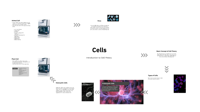 Cells by Daniela Alvarez on Prezi