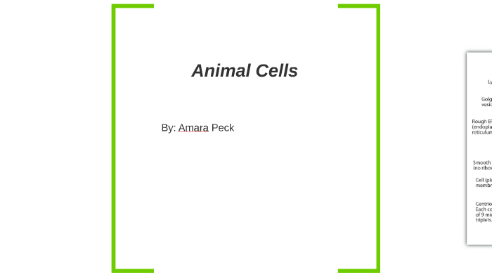 animal cell by Amara p on Prezi