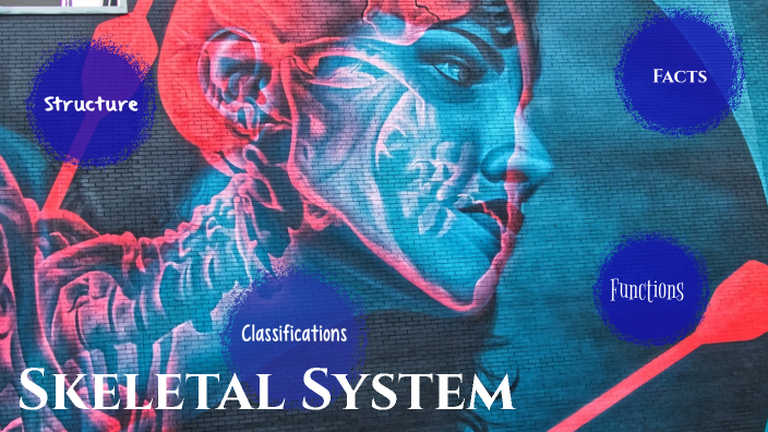 Skeletal System by Allison Luther on Prezi
