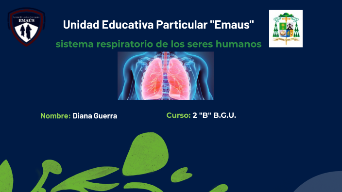 Proyecto De Biologia By Juliette Cajias On Prezi 8847