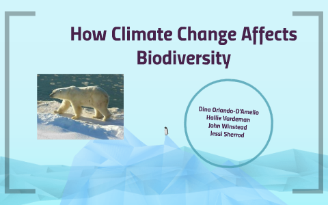 How Climate Change Effects Biodiversity By Dina D'Amelio On Prezi