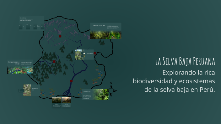 La Selva Baja Peruana by VASQUEZ ARANA Diego Benjamin on Prezi