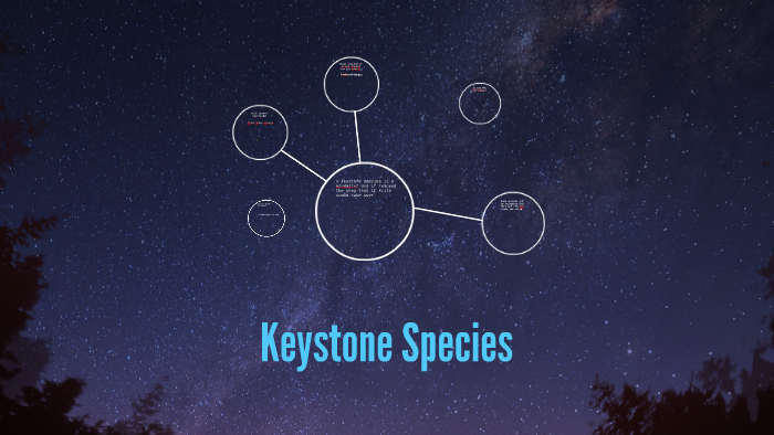 Keystone Species by Jed Kibble