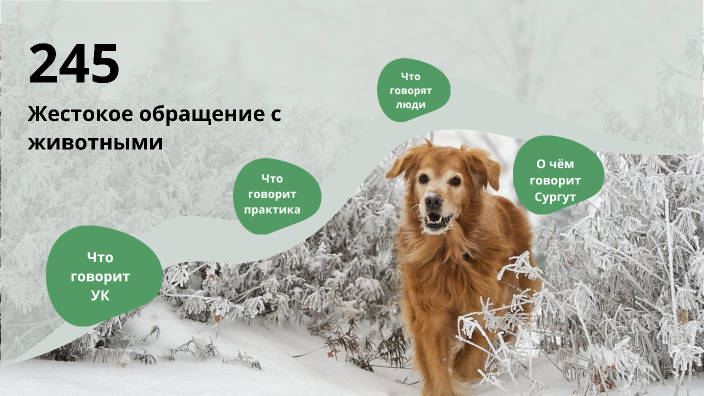 245 статья УК by Анастасия Грушева on Prezi