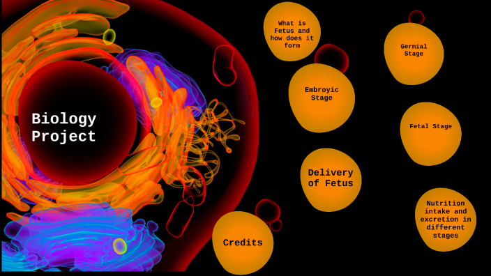 Bio Project by Gamers are the best on Prezi
