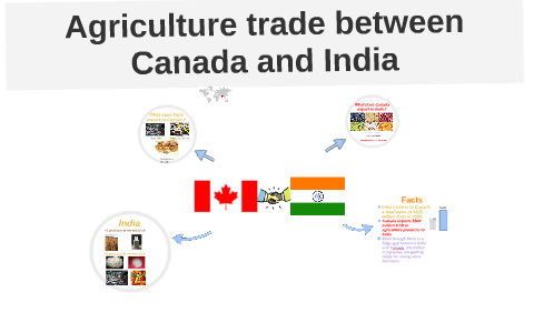 balance of trade between india and canada