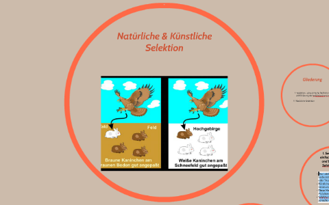 Natürliche & Künstliche Selektion by Vanessa Eisold on Prezi