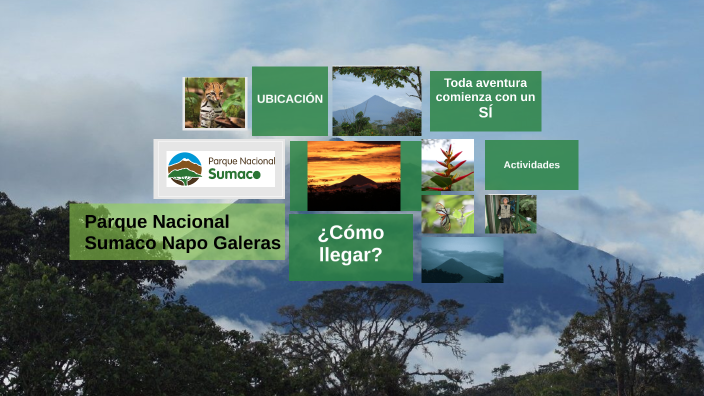 Parque Nacional Sumaco Napo Galeras by Ivanova Rojas on Prezi Next