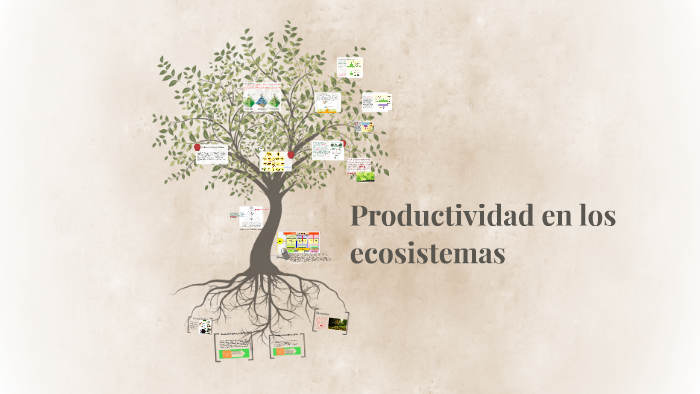 Productividad en los ecosistemas by Marta Fuentes on Prezi