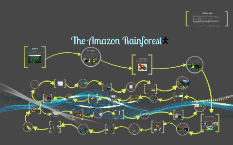 The Amazon Rainforest by Luis N on Prezi