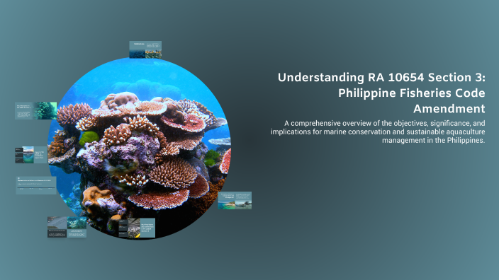 Understanding RA 10654 Section 3: Philippine Fisheries Code Amendment ...