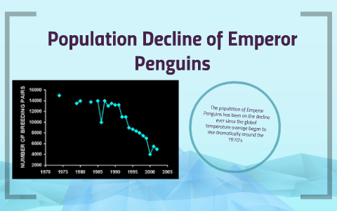 Population Decline of Emperor Penguins by Ethan Goldman on Prezi