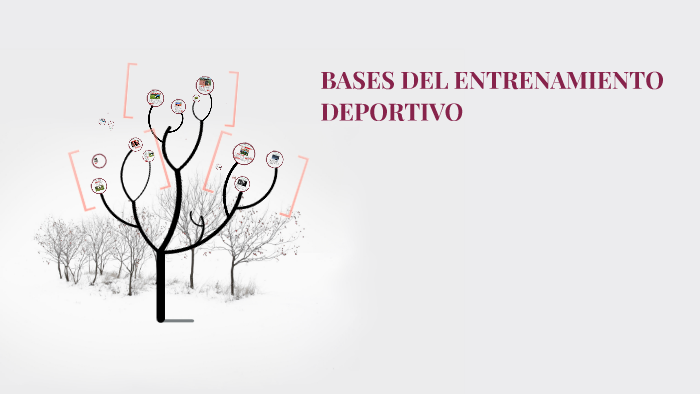 BASES DEL ENTRENAMIENTO DEPORTIVO by on Prezi