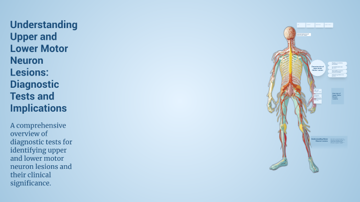 Understanding Upper and Lower Motor Neuron Lesions: Diagnostic Tests ...