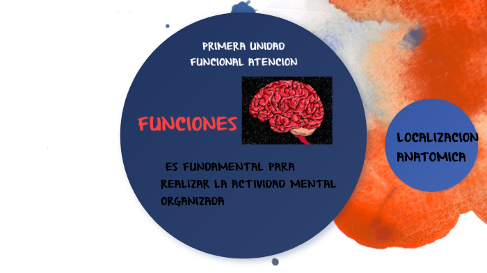 Las tres unidades funcionales de luria by adriana garcia on Prezi
