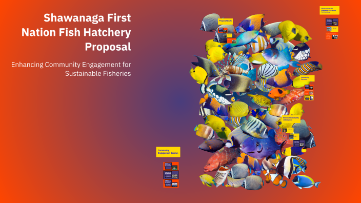 Shawanaga First Nation Fish Hatchery Proposal by Owen Erhabor on Prezi