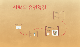 3-6-5. 사람의 유전형질
