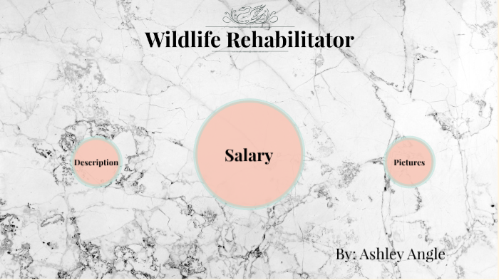 wildlife-rehabilitator-by-ashley-angle