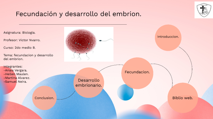 Fecundacion Y Desarrollo Embrionario. By Anais Vergara On Prezi