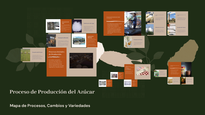 Producción del Azúcar: Procesos y Variedades by Sofia Lauria on Prezi