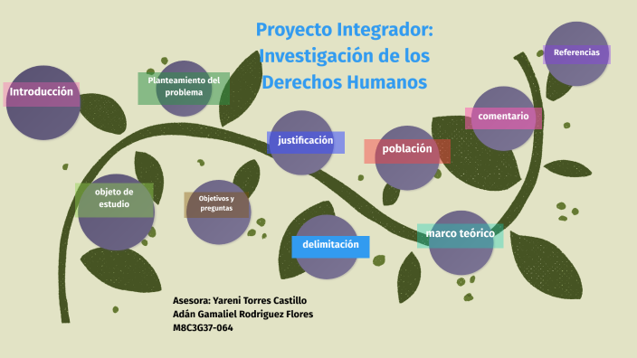 proyecto integrador: Investigación de los Derechos Humanos by adan
