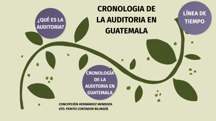 CRONOLOGIA DE LA AUDITORIA EN GUATEMALA by Concepción Hernández Mendoza