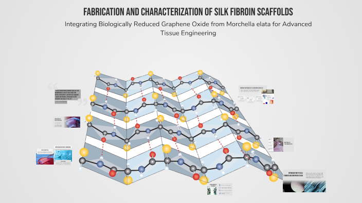 Fabrication and Characterization of Silk Fibroin Scaffolds by sumaira ...
