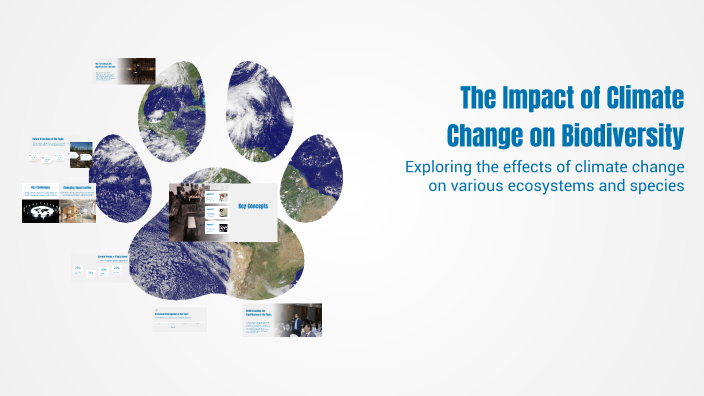 The Impact of Climate Change on Biodiversity by Bulan on Prezi
