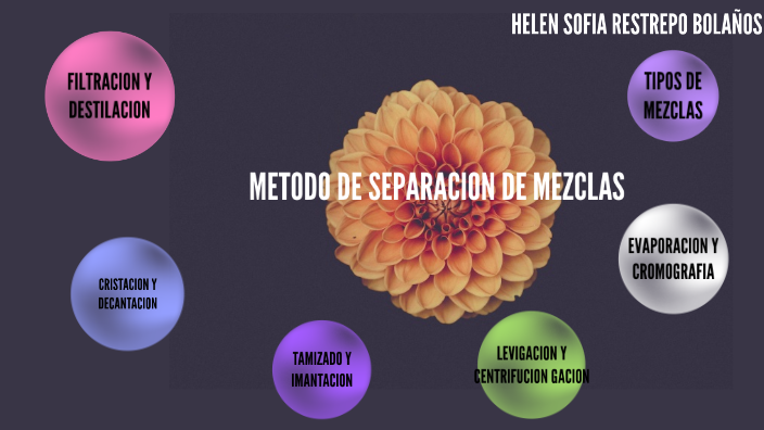 MAPA MENTAL by carolina bolaños on Prezi Next