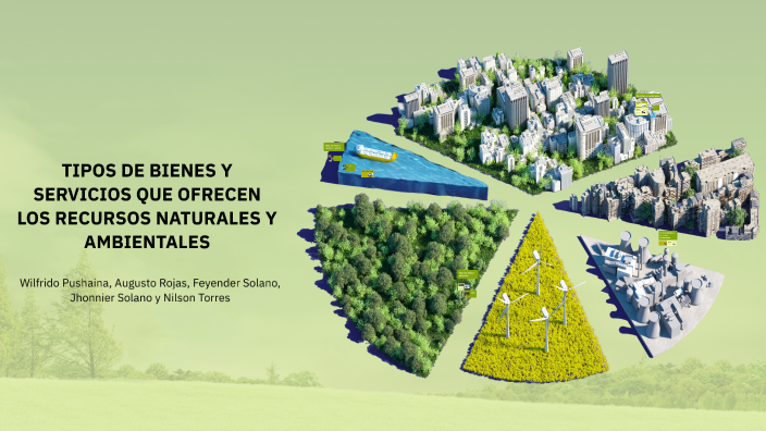 TIPOS DE BIENES Y SERVICIOS QUE OFRECEN LOS RECURSOS NATURALES Y