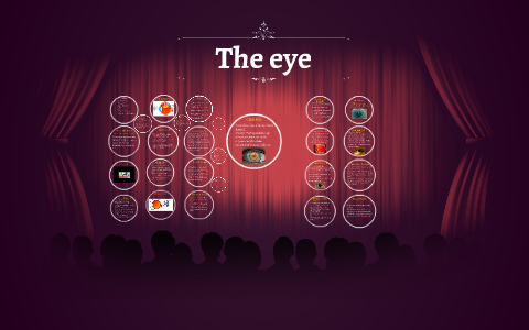 The eye by Henk Ham on Prezi
