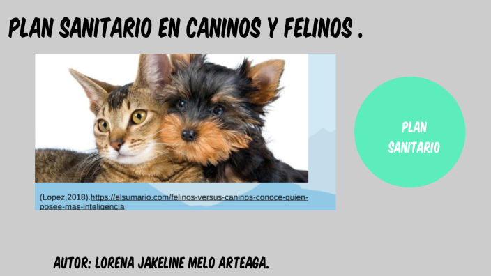 plan sanitario para caninos y felinos. by LORENA MELO on Prezi