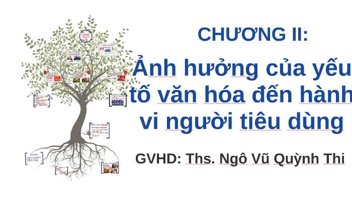 ảnh hưởng của yếu tố văn hóa đến hành vi người tiêu dùng by Tran Duyen ...