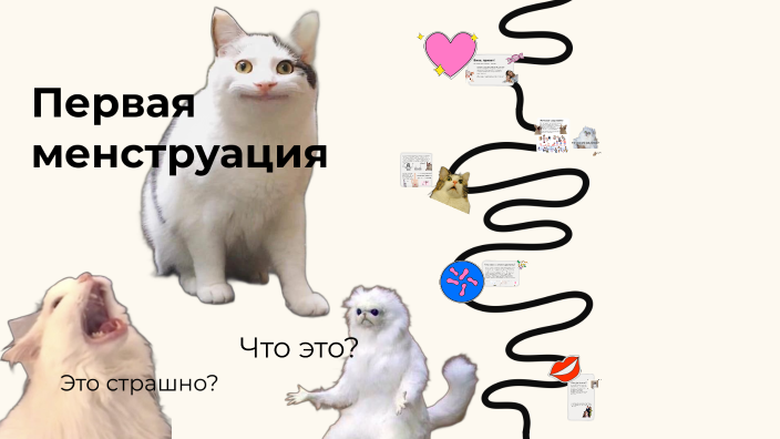 Первая менструация by Alina Parshikova on Prezi