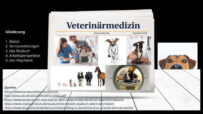 Tiermedizin By Meike Faal On Prezi