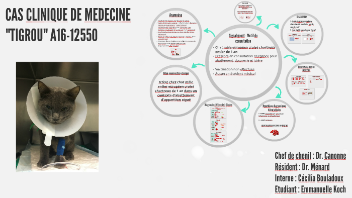Cas Clinique De Medecine By Emmanuelle Koch On Prezi